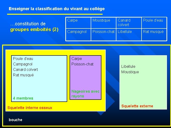 Enseigner la classification du vivant au collège …constitution de groupes emboîtés (2) Poule d’eau