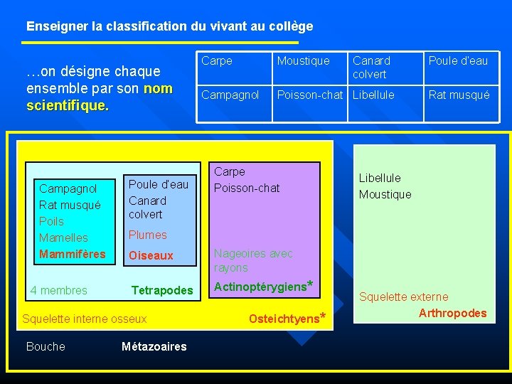 Enseigner la classification du vivant au collège …on désigne chaque ensemble par son nom