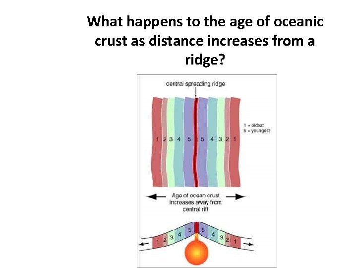 What happens to the age of oceanic crust as distance increases from a ridge?
