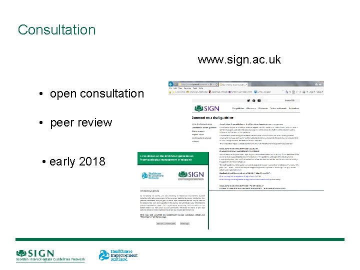 Consultation www. sign. ac. uk • open consultation • peer review • early 2018