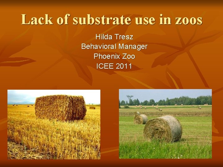 Lack of substrate use in zoos Hilda Tresz Behavioral Manager Phoenix Zoo ICEE 2011