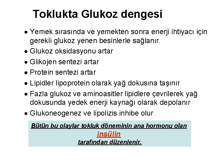 Toklukta Glukoz dengesi · Yemek sırasında ve yemekten sonra enerji ihtiyacı için gerekli glukoz