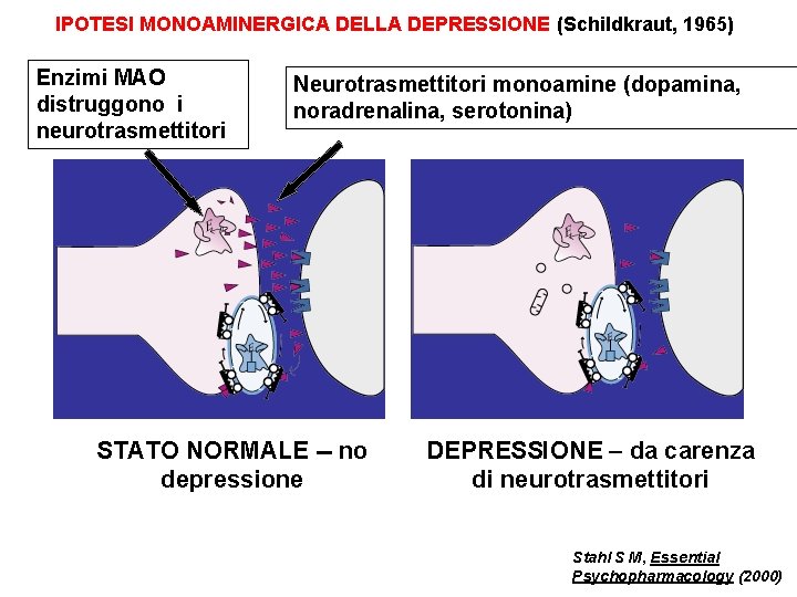 IPOTESI MONOAMINERGICA DELLA DEPRESSIONE (Schildkraut, 1965) Enzimi MAO distruggono i neurotrasmettitori Neurotrasmettitori monoamine (dopamina,