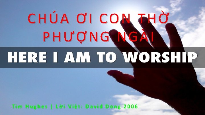 CHÚA ƠI CON THỜ PHƯỢNG NGÀI Tim Hughes | Lời Việt: David Dong 2006