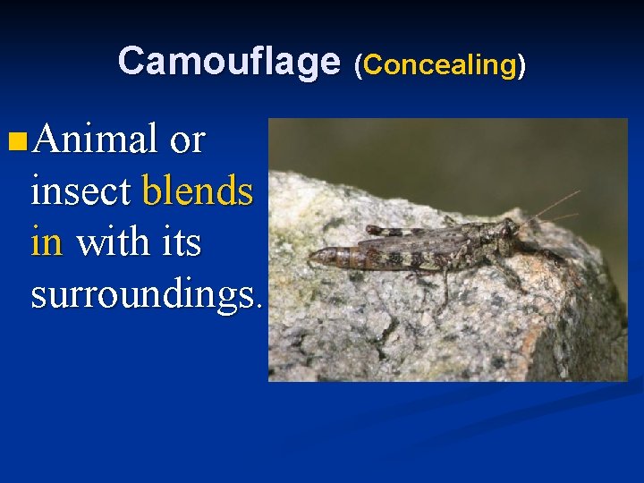 Camouflage (Concealing) n Animal or insect blends in with its surroundings. 