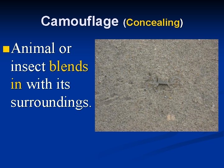 Camouflage (Concealing) n Animal or insect blends in with its surroundings. 