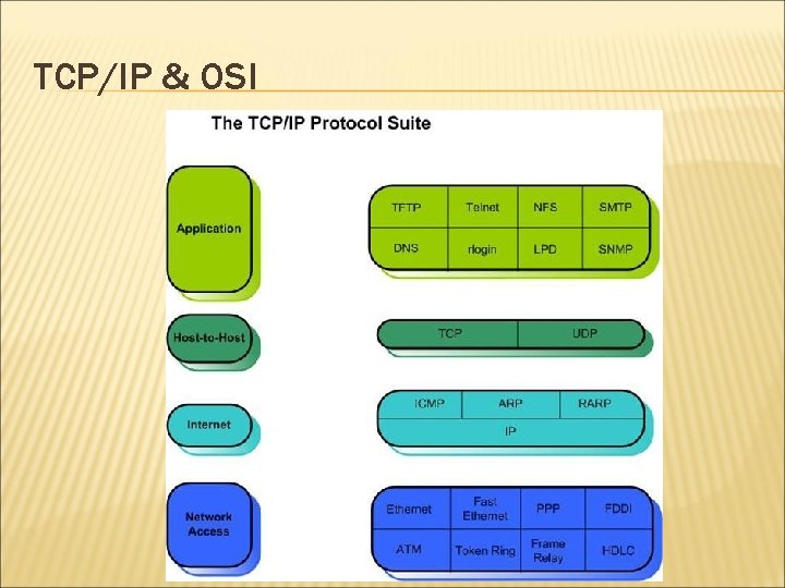 TCP/IP & OSI 