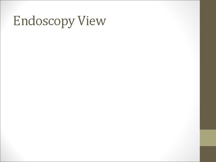 Endoscopy View 