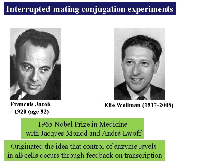 Interrupted-mating conjugation experiments Francois Jacob 1920 (age 92) Elie Wollman (1917 -2008) 1965 Nobel