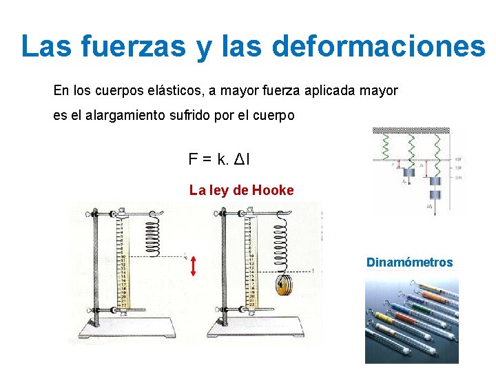 Las fuerzas y las deformaciones En los cuerpos elásticos, a mayor fuerza aplicada mayor