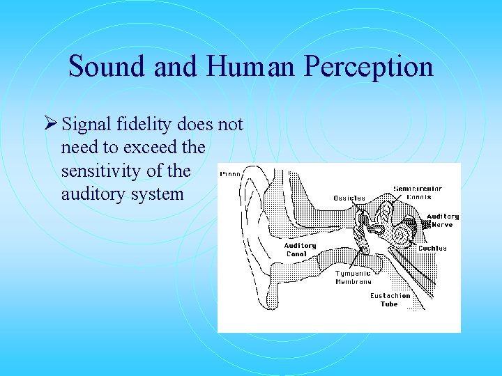 Sound and Human Perception Ø Signal fidelity does not need to exceed the sensitivity