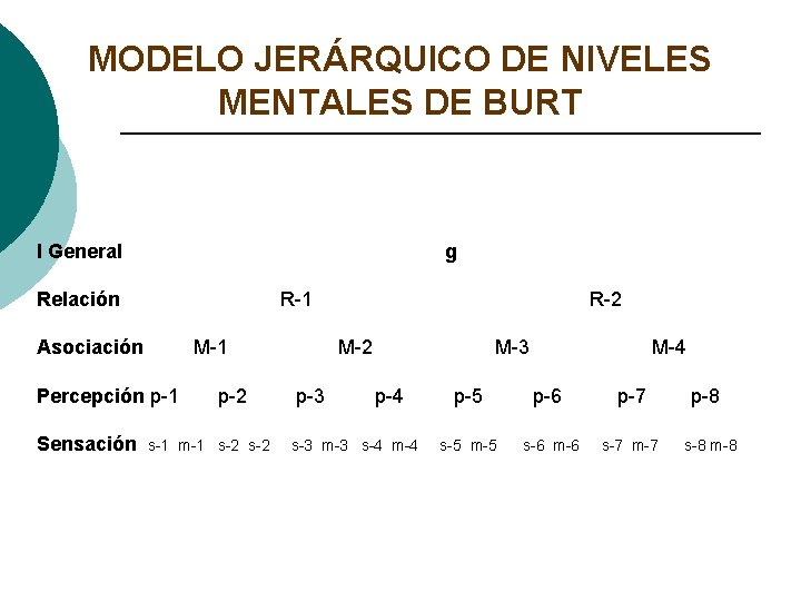MODELO JERÁRQUICO DE NIVELES MENTALES DE BURT I General g Relación R-1 Asociación M-1 MODELO JERÁRQUICO DE NIVELES MENTALES DE BURT I General g Relación R-1 Asociación M-1