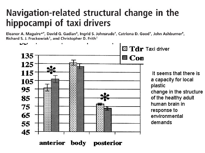 Taxi driver It seems that there is a capacity for local plastic change in