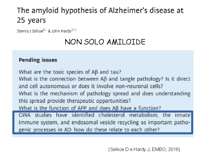 NON SOLO AMILOIDE (Selkoe D e Hardy J, EMBO, 2016) 