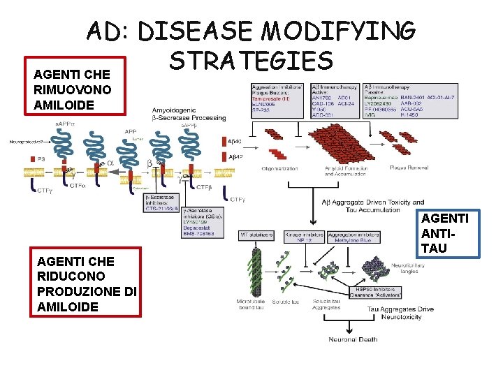 AD: DISEASE MODIFYING STRATEGIES AGENTI CHE RIMUOVONO AMILOIDE AGENTI CHE RIDUCONO PRODUZIONE DI AMILOIDE