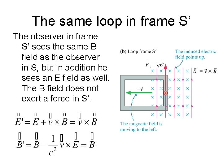 The same loop in frame S’ The observer in frame S’ sees the same