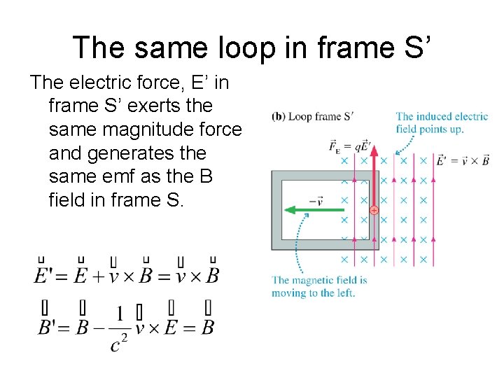 The same loop in frame S’ The electric force, E’ in frame S’ exerts