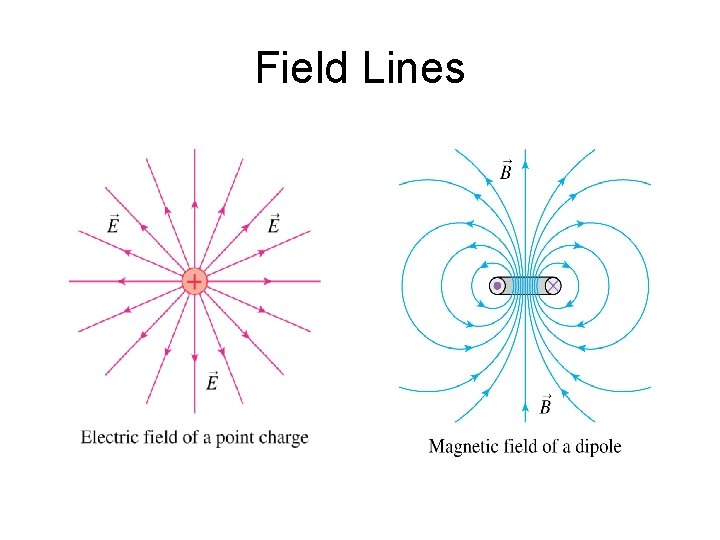 Field Lines 
