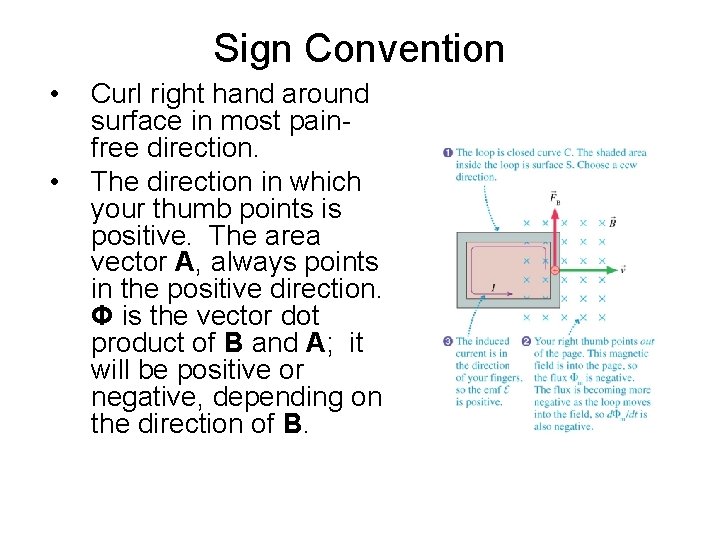 Sign Convention • • Curl right hand around surface in most painfree direction. The