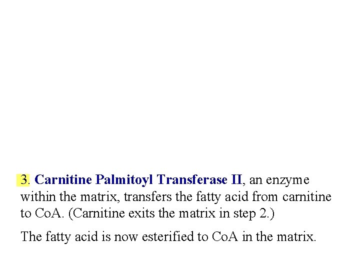 3. Carnitine Palmitoyl Transferase II, an enzyme within the matrix, transfers the fatty acid