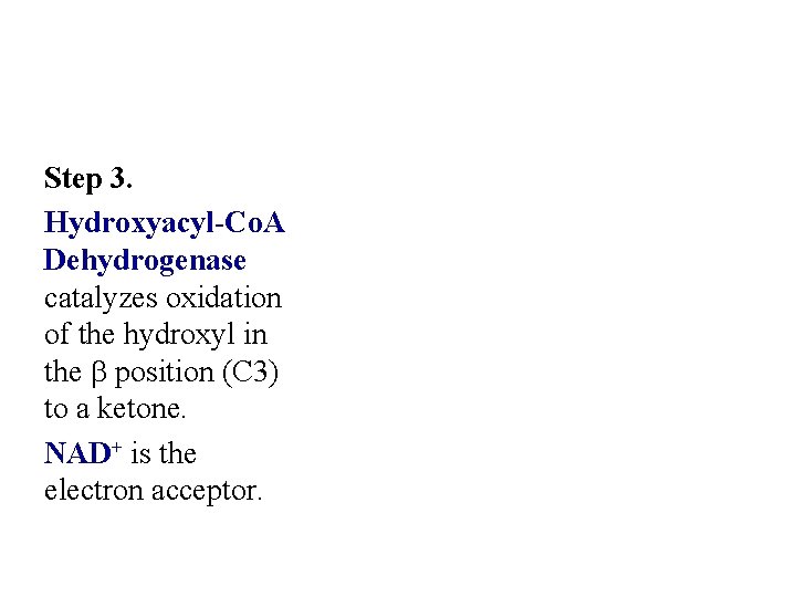 Step 3. Hydroxyacyl-Co. A Dehydrogenase catalyzes oxidation of the hydroxyl in the b position