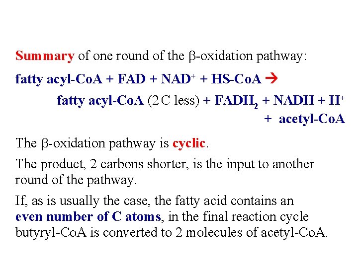 Summary of one round of the b-oxidation pathway: fatty acyl-Co. A + FAD +