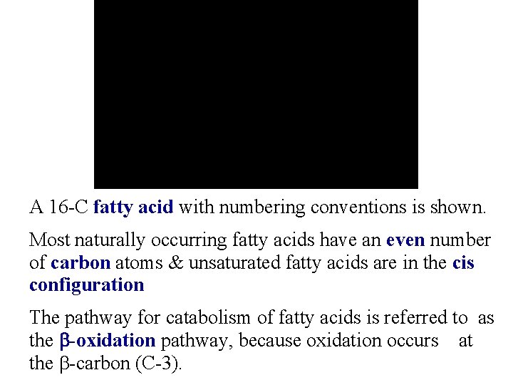A 16 -C fatty acid with numbering conventions is shown. Most naturally occurring fatty