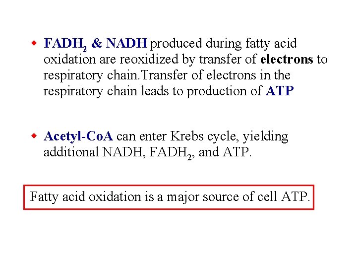w FADH 2 & NADH produced during fatty acid oxidation are reoxidized by transfer