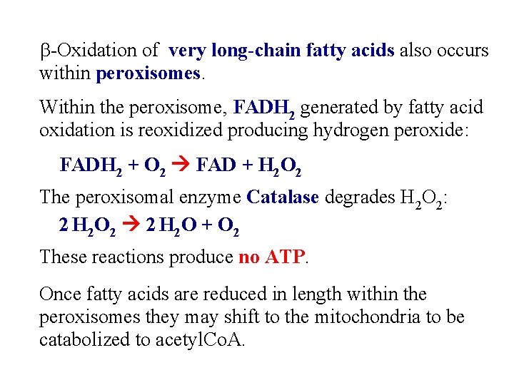 b-Oxidation of very long-chain fatty acids also occurs within peroxisomes. Within the peroxisome, FADH