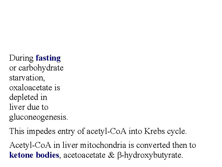 During fasting or carbohydrate starvation, oxaloacetate is depleted in liver due to gluconeogenesis. This