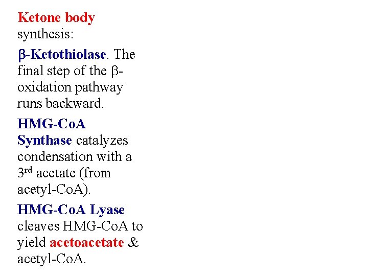 Ketone body synthesis: b-Ketothiolase. The final step of the boxidation pathway runs backward. HMG-Co.