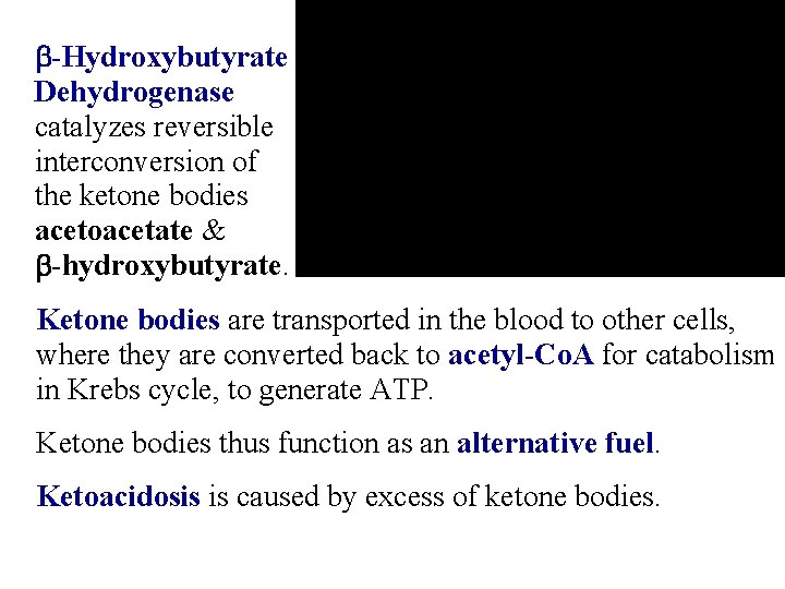 b-Hydroxybutyrate Dehydrogenase catalyzes reversible interconversion of the ketone bodies acetoacetate & b-hydroxybutyrate. Ketone bodies