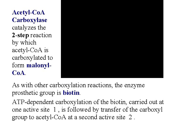 Acetyl-Co. A Carboxylase catalyzes the 2 -step reaction by which acetyl-Co. A is carboxylated