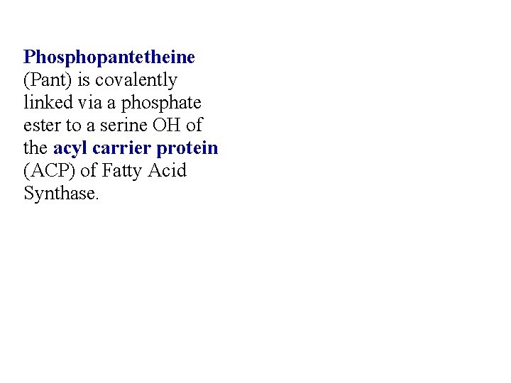 Phosphopantetheine (Pant) is covalently linked via a phosphate ester to a serine OH of