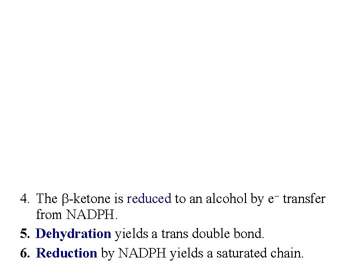 4. The b-ketone is reduced to an alcohol by e- transfer from NADPH. 5.
