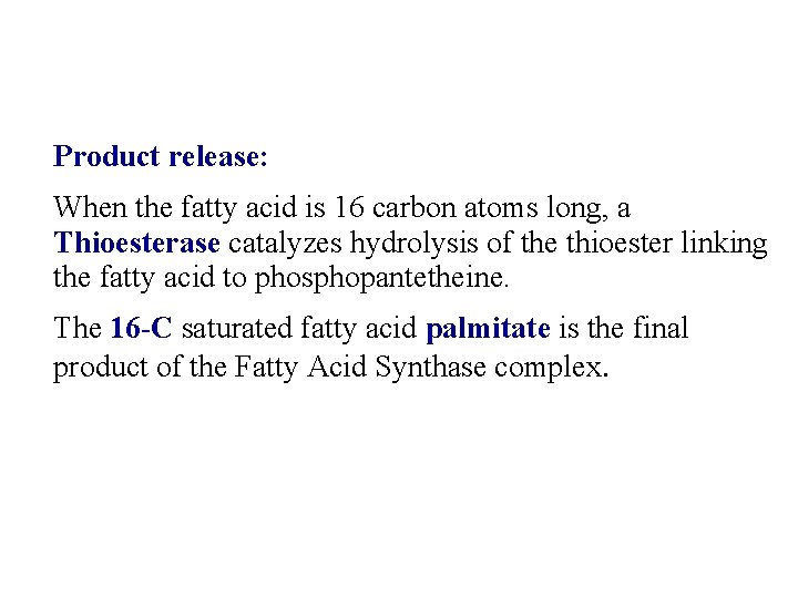 Product release: When the fatty acid is 16 carbon atoms long, a Thioesterase catalyzes