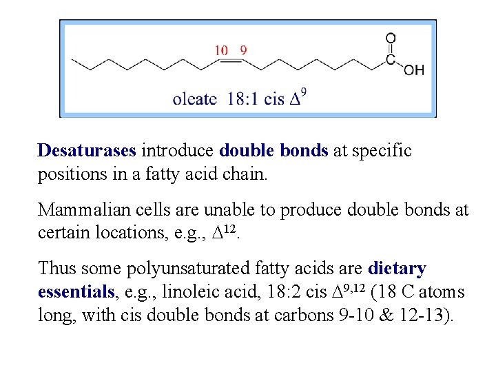 Desaturases introduce double bonds at specific positions in a fatty acid chain. Mammalian cells