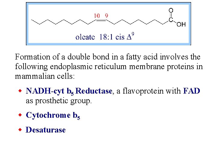 Formation of a double bond in a fatty acid involves the following endoplasmic reticulum