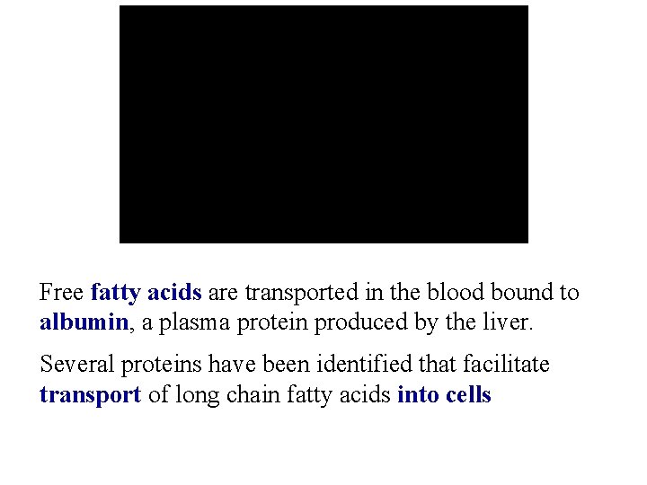 Free fatty acids are transported in the blood bound to albumin, a plasma protein