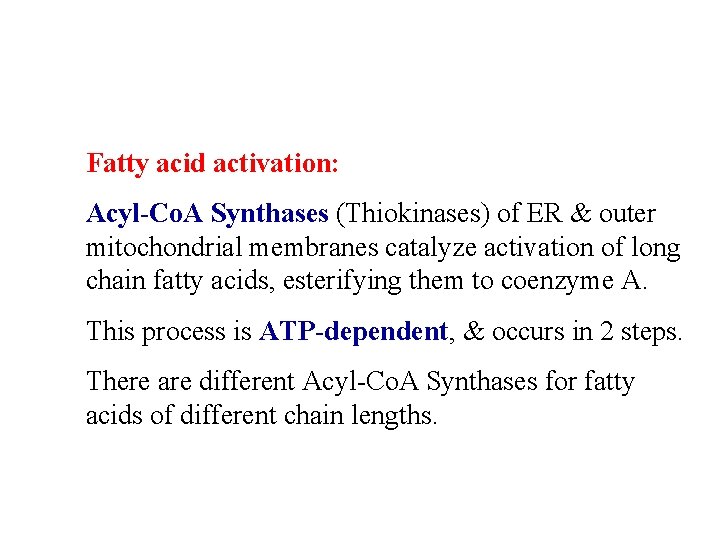Fatty acid activation: Acyl-Co. A Synthases (Thiokinases) of ER & outer mitochondrial membranes catalyze