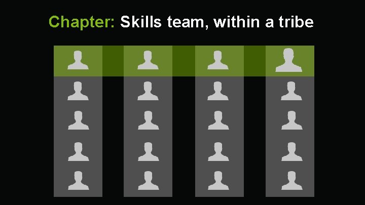 Chapter: Skills team, within a tribe 