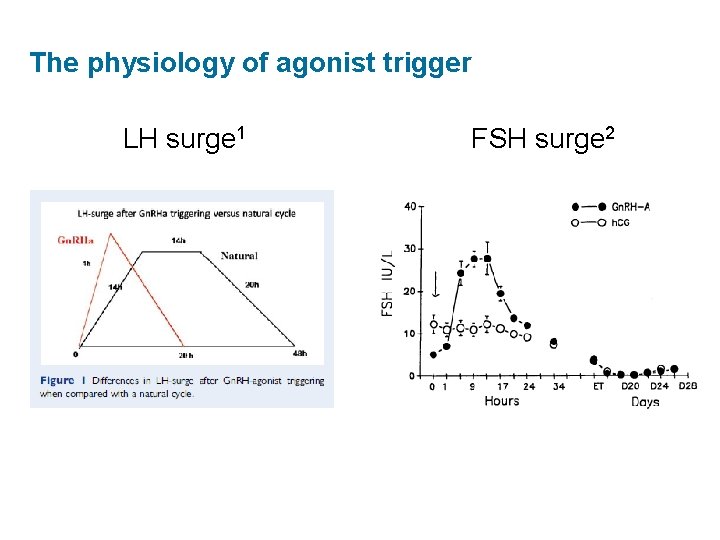 The physiology of agonist trigger LH surge 1 FSH surge 2 