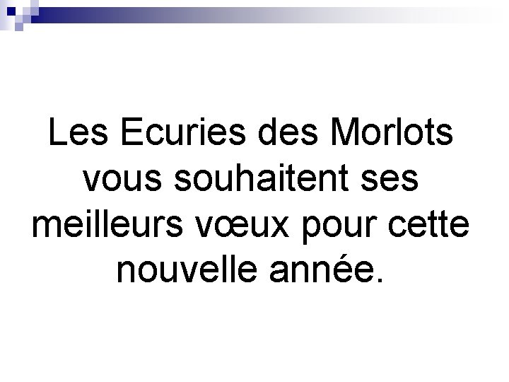 Les Ecuries des Morlots vous souhaitent ses meilleurs vœux pour cette nouvelle année. 