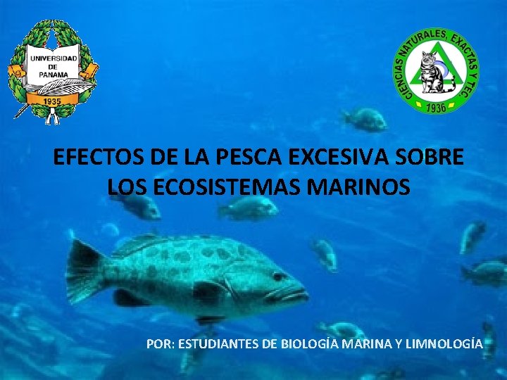 EFECTOS DE LA PESCA EXCESIVA SOBRE LOS ECOSISTEMAS MARINOS POR: ESTUDIANTES DE BIOLOGÍA MARINA