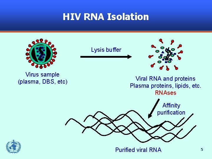 HIV Drug Resistance Training Module 3 Principles of
