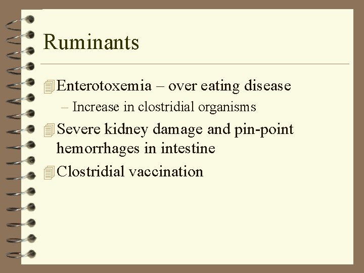 Ruminants 4 Enterotoxemia – over eating disease – Increase in clostridial organisms 4 Severe