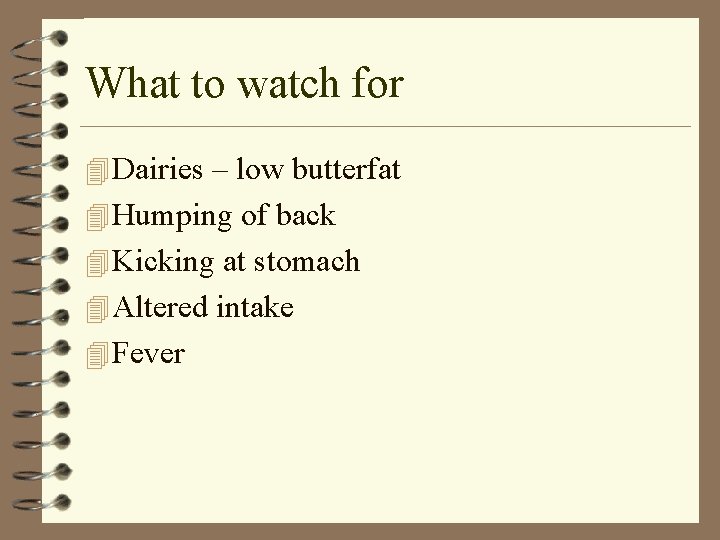 What to watch for 4 Dairies – low butterfat 4 Humping of back 4