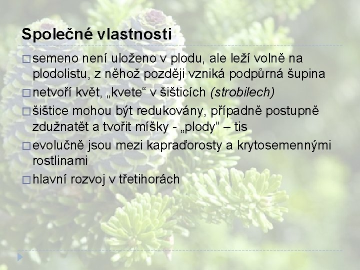 Společné vlastnosti � semeno není uloženo v plodu, ale leží volně na plodolistu, z Společné vlastnosti � semeno není uloženo v plodu, ale leží volně na plodolistu, z