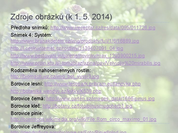 Zdroje obrázků (k 1. 5. 2014) Předloha snímků: http: //www. ireceptar. cz/res/data/095/011726. jpg Snímek Zdroje obrázků (k 1. 5. 2014) Předloha snímků: http: //www. ireceptar. cz/res/data/095/011726. jpg Snímek