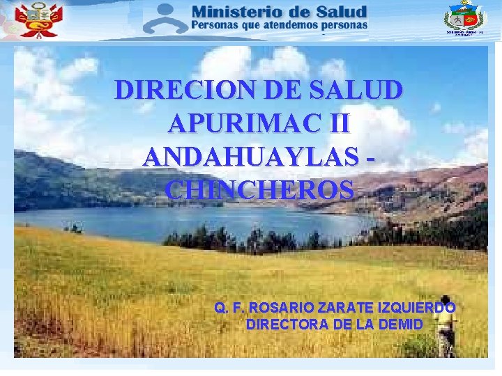 DIRECION DE SALUD APURIMAC II ANDAHUAYLAS CHINCHEROS Q. F. ROSARIO ZARATE IZQUIERDO DIRECTORA DE